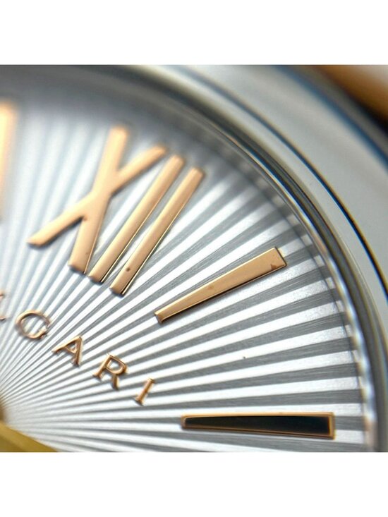 Bvlgari Watch SS PG Quartz Silver main image 5
